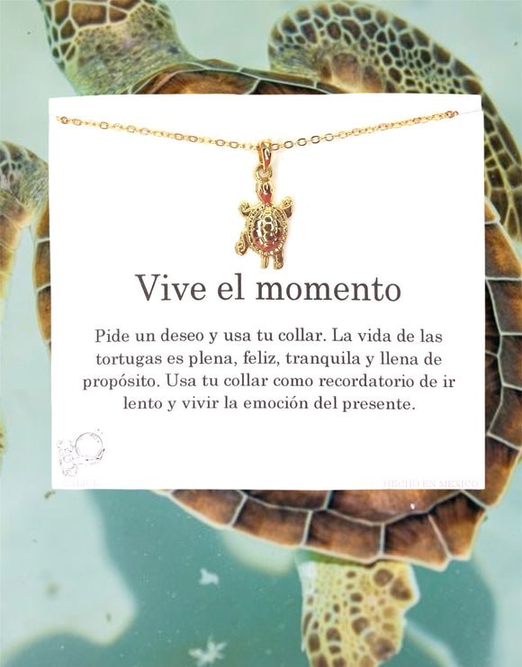 Vive el momento